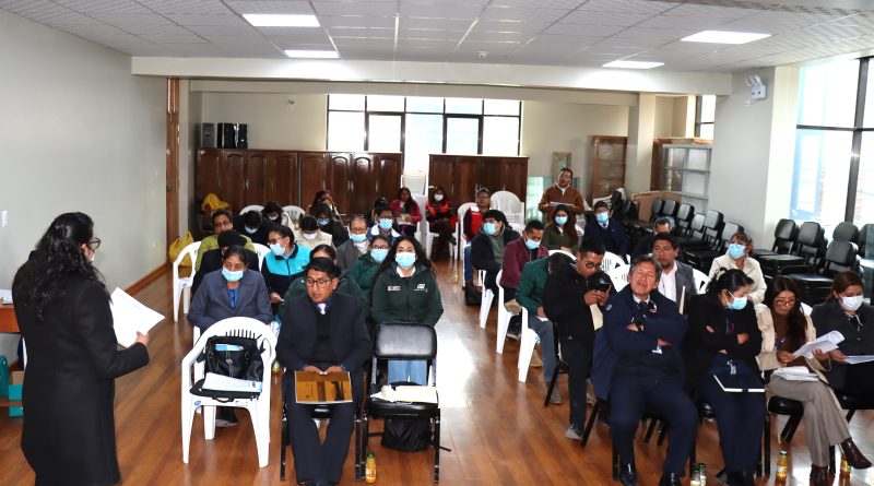 Diresa Puno socializa plan multisectorial para la prevención y reducción de la anemia en la región